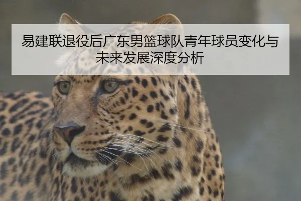 易建联退役后广东男篮球队青年球员变化与未来发展深度分析